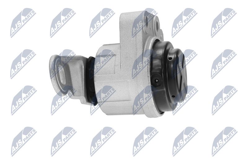 Paigutus, Mootor, NTY ZPS-FR-044