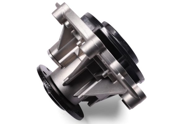 P9806 (2).JPG