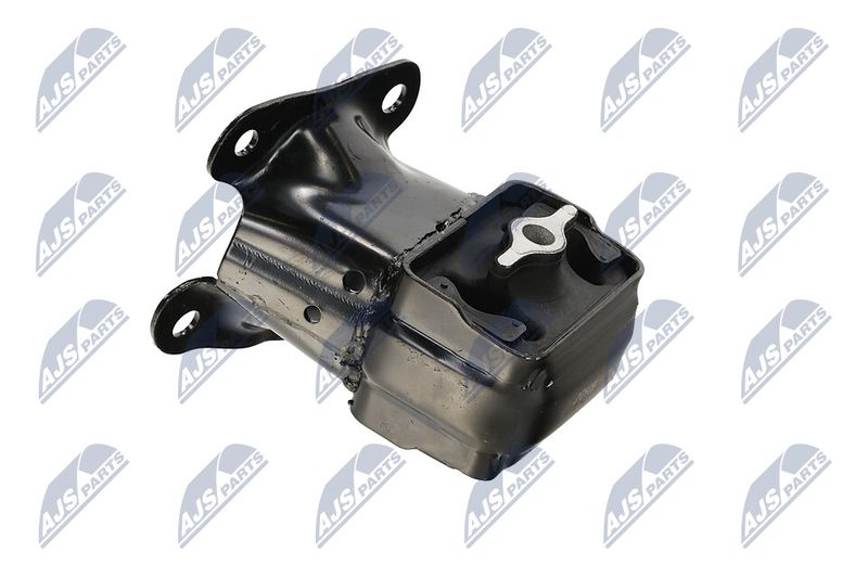 Paigutus, Mootor, NTY ZPS-CH-089