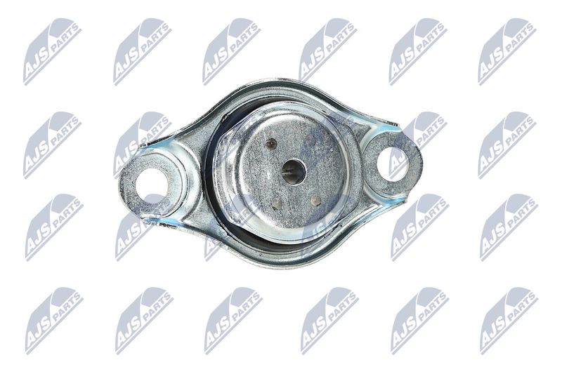 Paigutus, Mootor, NTY ZPS-FT-005