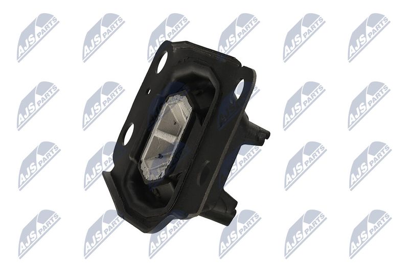 Paigutus, Mootor, NTY ZPS-FR-036