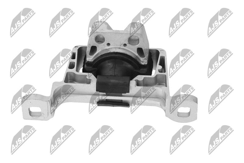 Paigutus, Mootor, NTY ZPS-FR-045