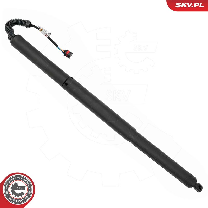 ESEN SKV 52SKV277 Electric Motor, tailgate