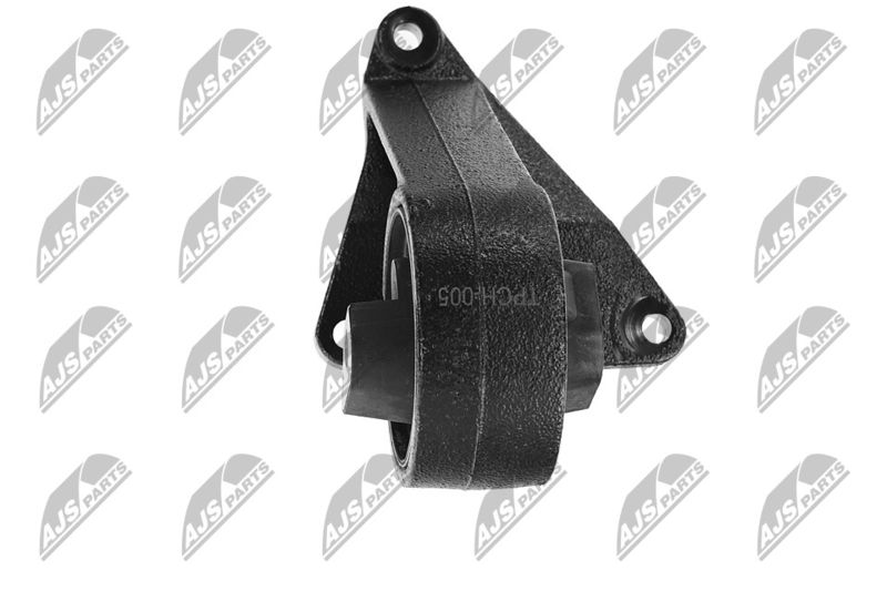 Paigutus, Mootor, NTY ZPS-CH-005