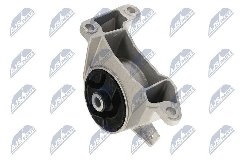 Paigutus, Mootor, NTY ZPS-PL-039