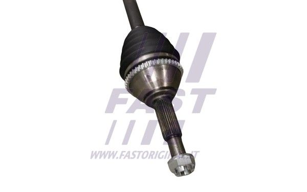 FT27193_3_1.JPG