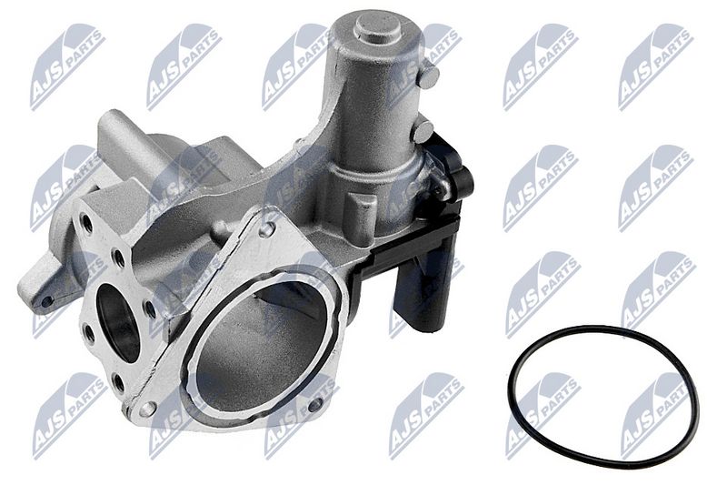 egr-vw-003_2-wm.JPG