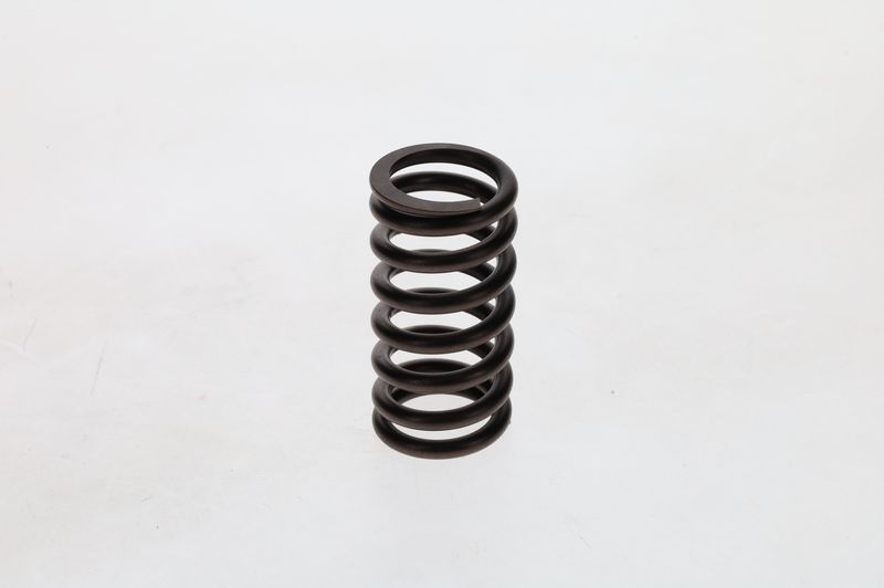 BOSCH 2 414 619 011 Spring