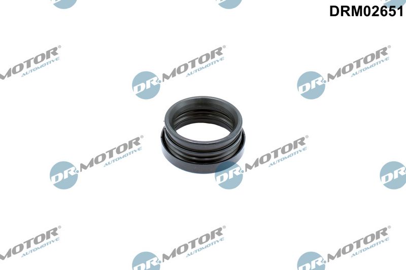 Tihend, drosselventiil Dr.Motor Automotive DRM02651