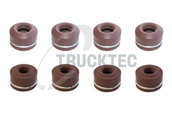 TRUCKTEC AUTOMOTIVE 02.43.006 - Seal Set, valve stem