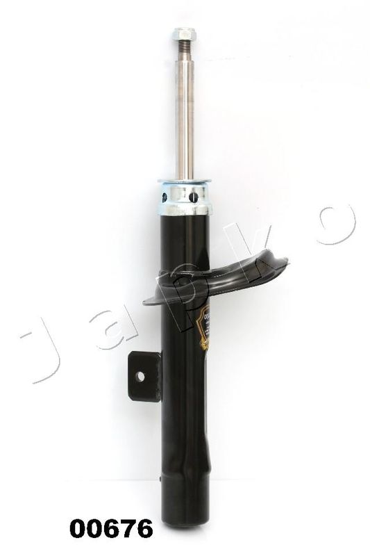 MJ00676_1.JPG