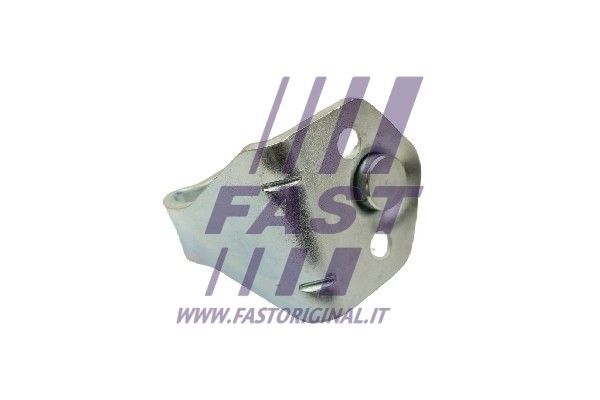FT95303_2_1.JPG