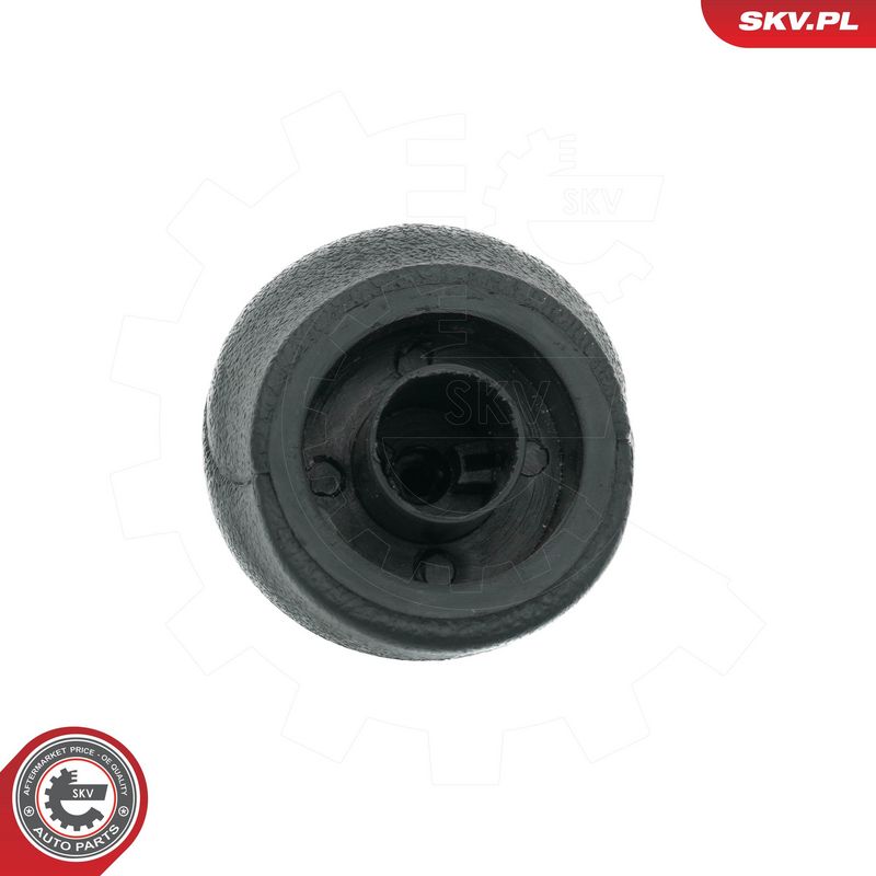 Käigukanginupp, ESEN SKV 63SKV486