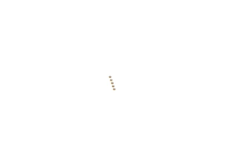 BOSCH F00ZC99728 Repair Kit, common rail system