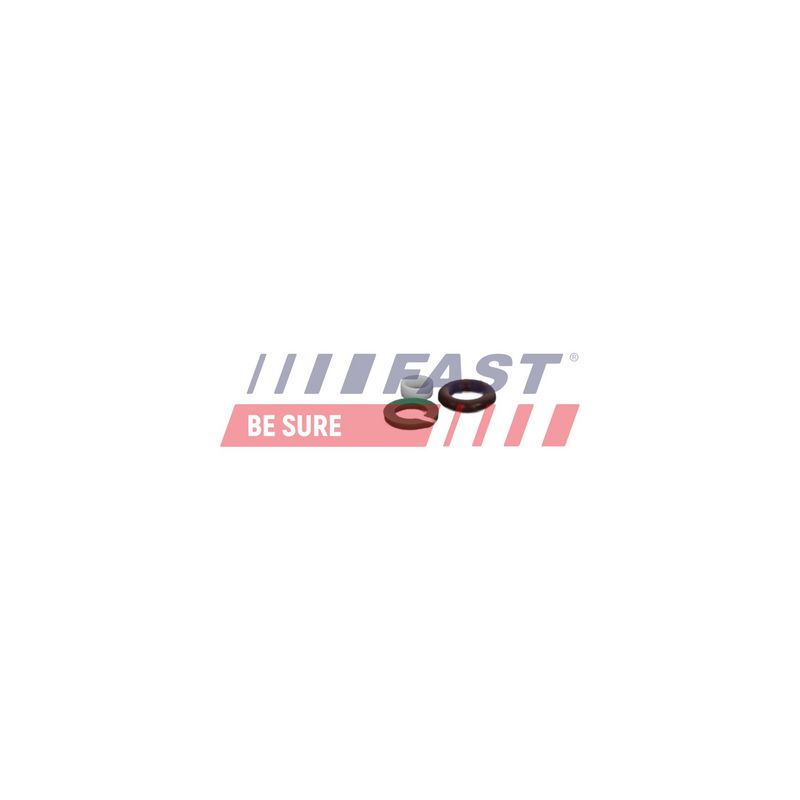 FAST FT01835 Repair Kit, unit injector