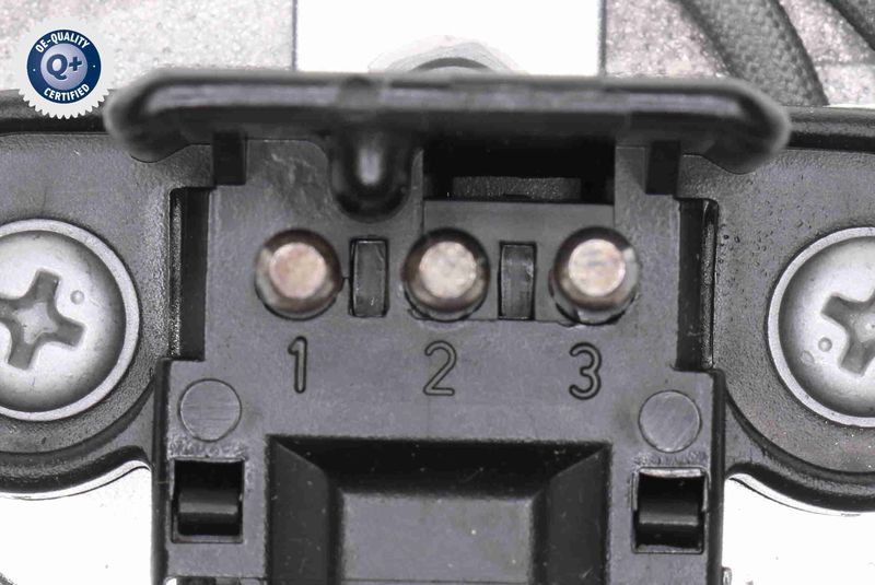 V30-15-0036_03.JPG