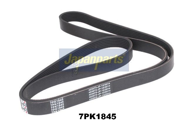 Correa trapecial poli V