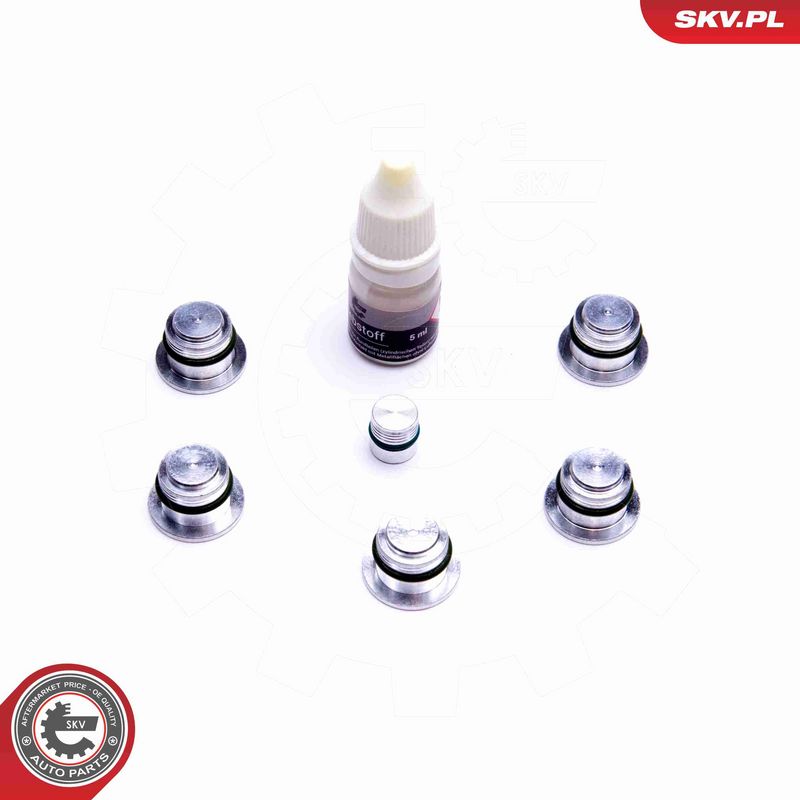 ESEN SKV 49SKV533 Repair Kit, intake manifold module
