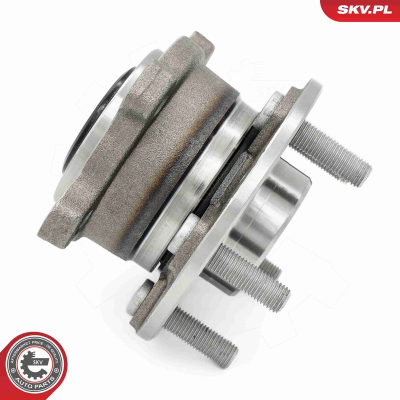 ESEN SKV 29SKV701 Wheel Bearing Kit