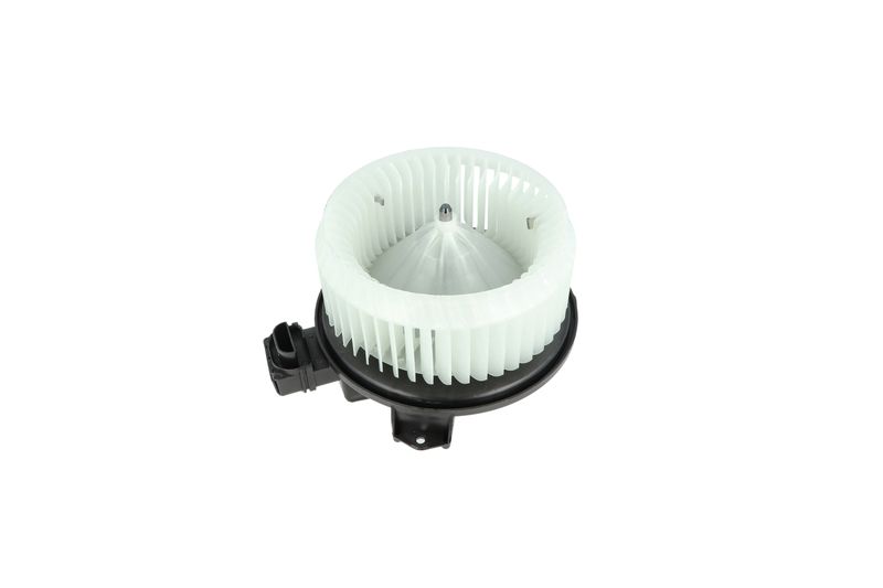 Salongipuhur, NRF 34244