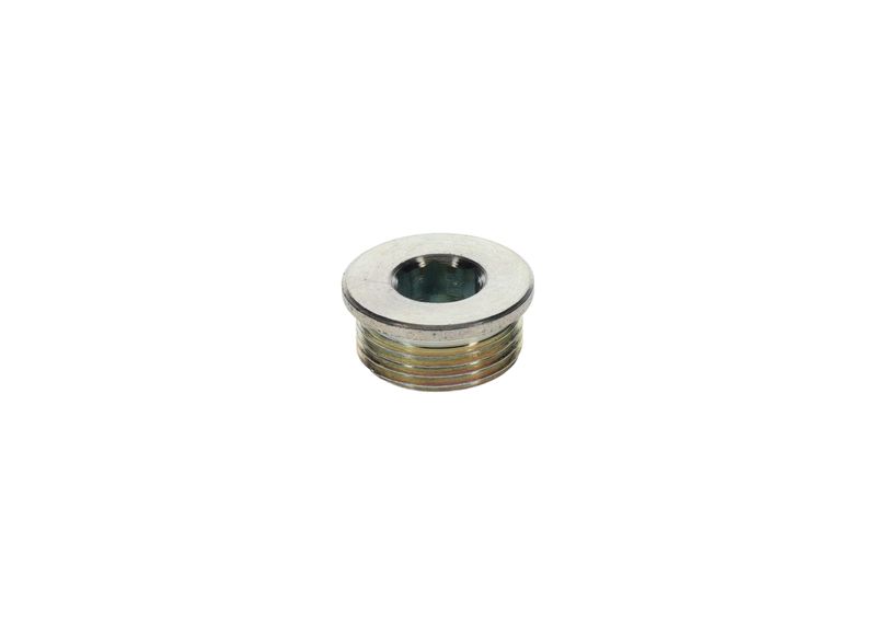 Surub 1 423 462 099 BOSCH
