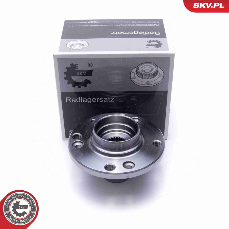 ESEN SKV 29SKV525 - Wheel Bearing Kit