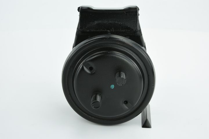 FEBEST SZM-015 Variklio pagalvė