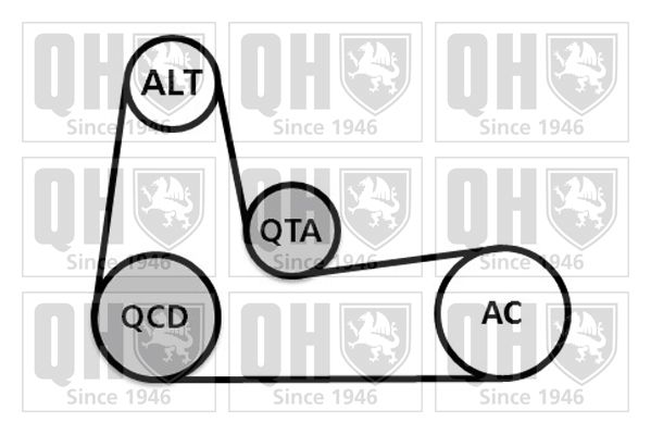 Комплект поліклинових ременів, Quinton Hazell QDK89