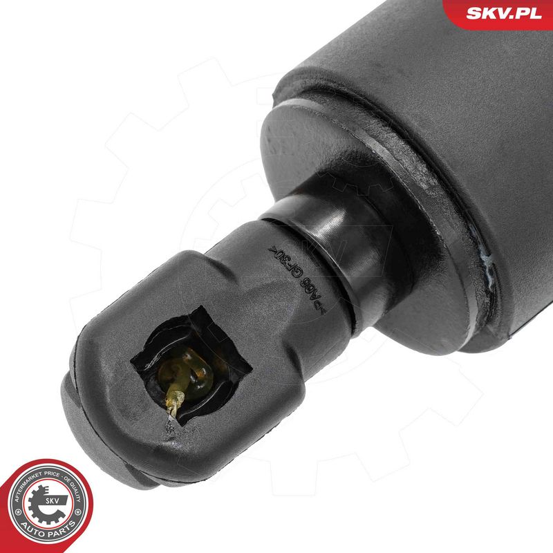 Gaasivedru, pagasi-, veoruum, ESEN SKV 52SKV843