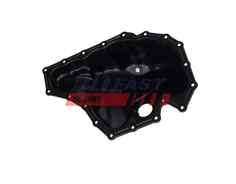 FAST FT04856 Oil Sump