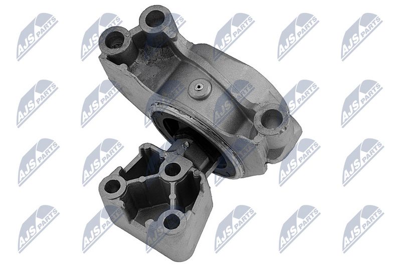 Paigutus, Mootor, NTY ZPS-PE-031