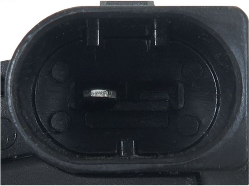 407703.JPG