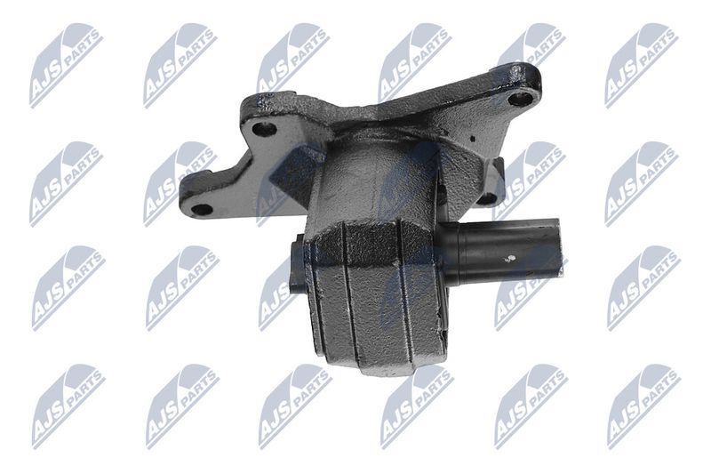 Paigutus, Mootor, NTY ZPS-CH-030