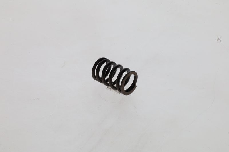 Arc 1 424 619 025 BOSCH