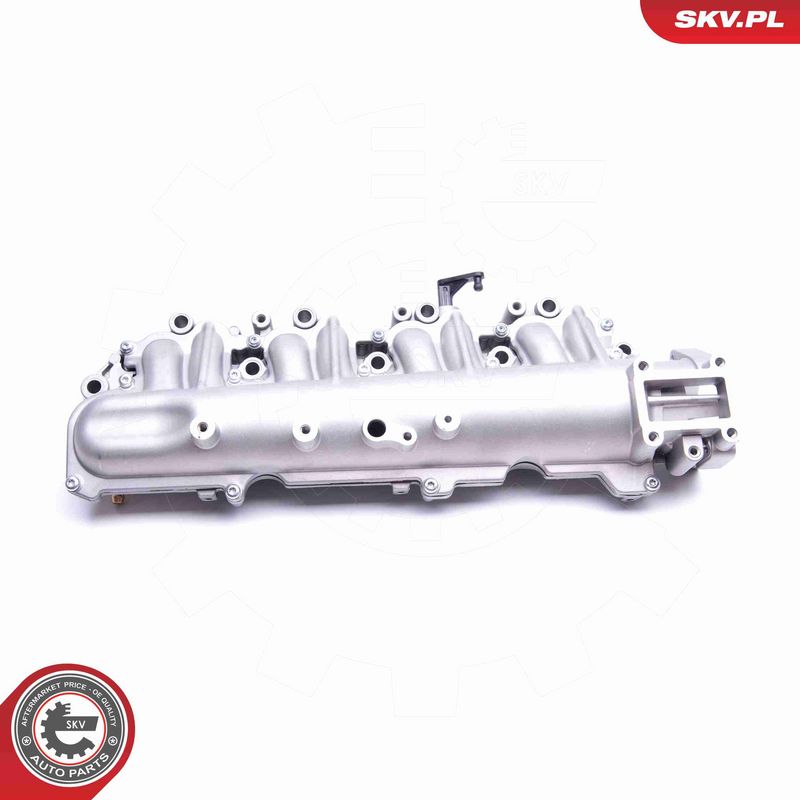 ESEN SKV 49SKV029 Intake Manifold Module