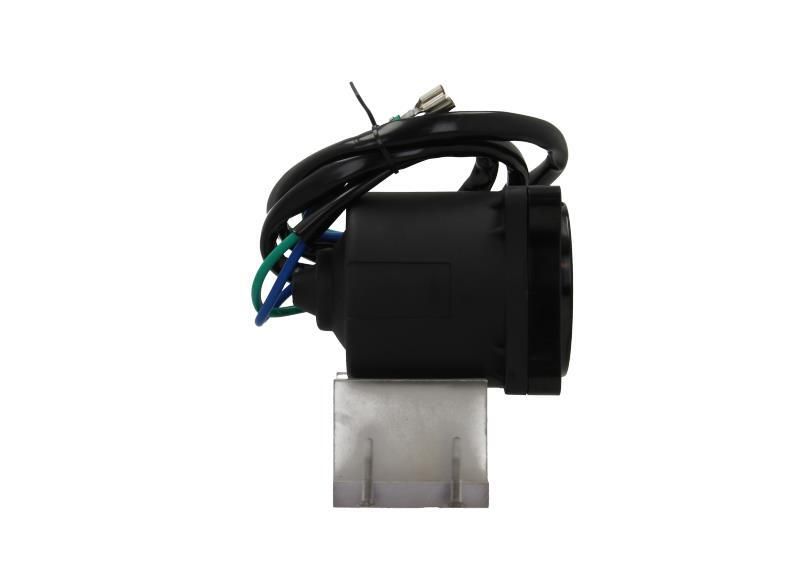 BV PSH 350.573.000.200 Electric Motor