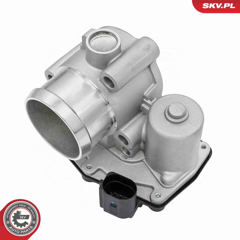 ESEN SKV 12SKV196 Throttle Body