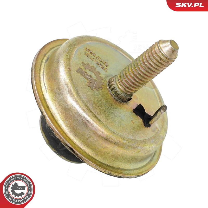 Paigutus, Mootor, ESEN SKV 75SKV101