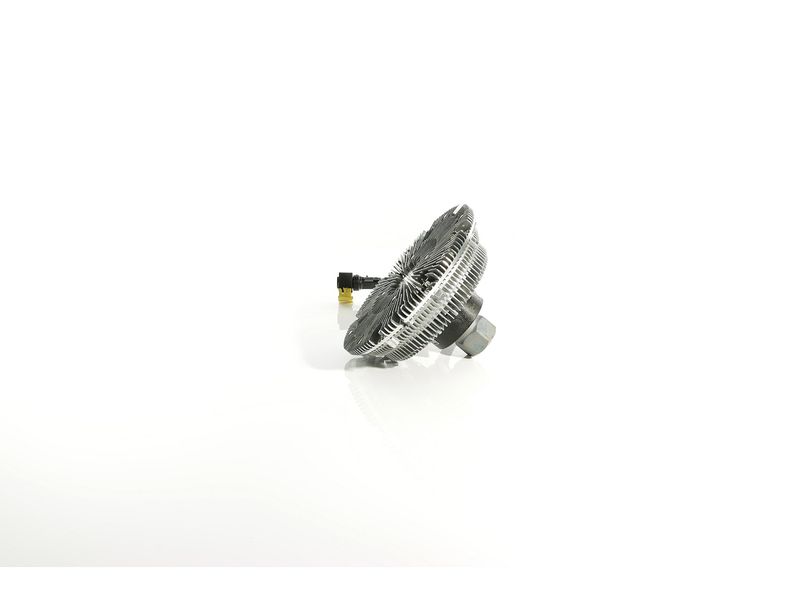 Image 19