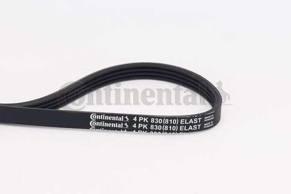 BELTPIC_4PK830 ELAST.JPG