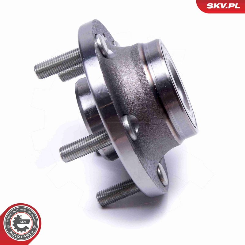 ESEN SKV 29SKV535 Wheel Bearing Kit