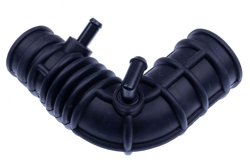 DENCKERMANN F100169 - Charge Air Hose