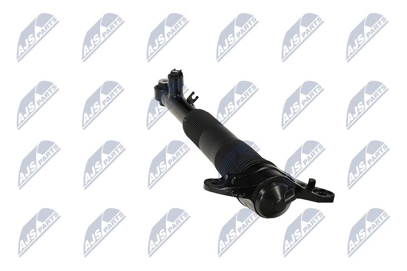 Amort, NTY A-LR-037