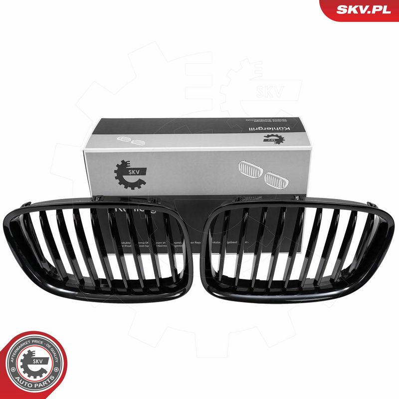 Radiaatorivõre, ESEN SKV 66SKV176