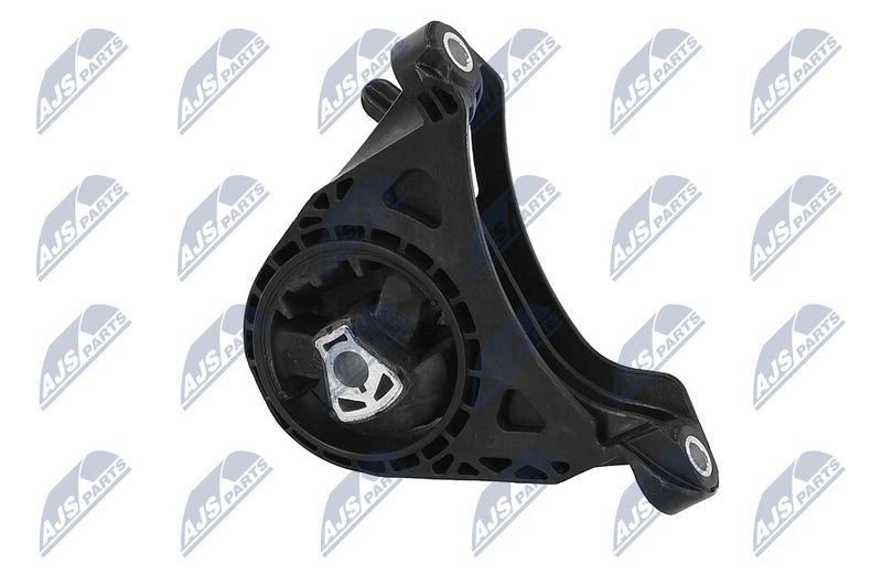 Paigutus, Mootor, NTY ZPS-PL-011
