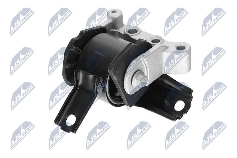 Paigutus, Mootor, NTY ZPS-CH-071