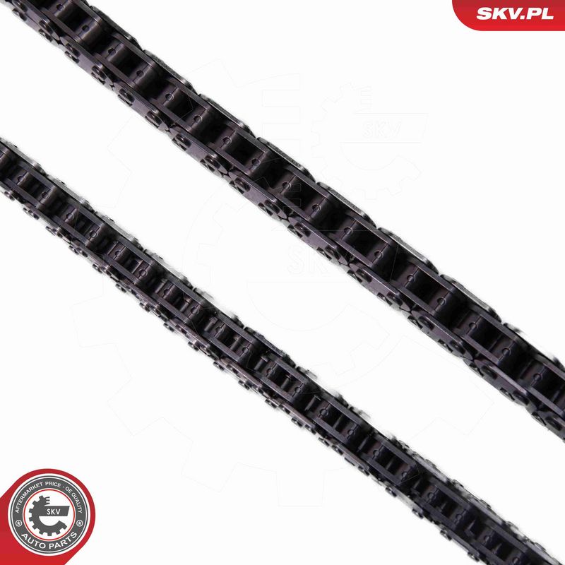 ESEN SKV 21SKV251 Timing Chain Kit