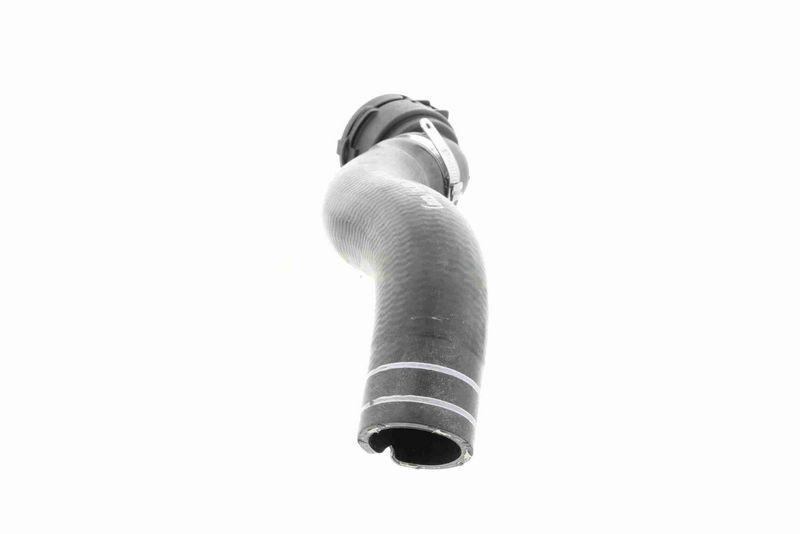 VAICO V24-0833 Radiator Hose