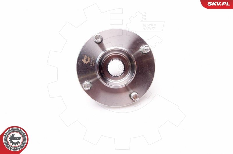 ESEN SKV 29SKV162 Wheel Bearing Kit