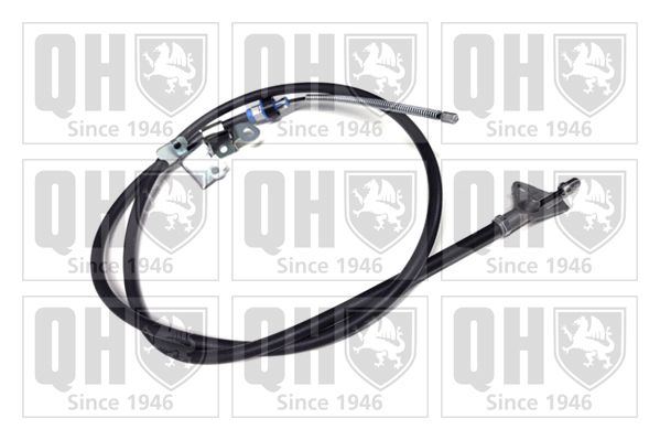QH_BC4387.JPG